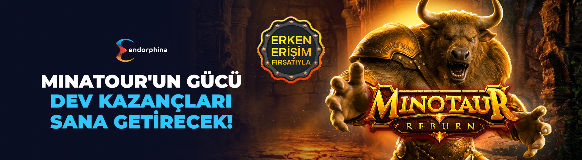 endo erken erişim